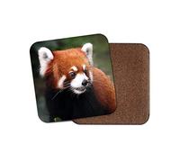 1 x Endangered Red Panda Bear Coaster - Animal Cute Wild Mum Auntie #14159