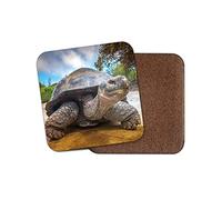 1 x Galapagos Island Turtle Coaster - Tortoise Cute Beach Reptile #15390