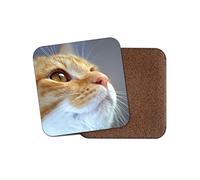 1 x Ginger Tom Cat Coaster - Kitten Cute Cats Pretty Pets Animal Gran #15270
