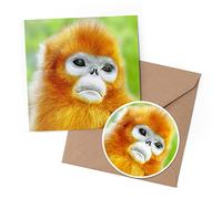 1 x Greeting Card & 10 cm Round Sticker Set - Cute Golden Snub-Nosed Monkey - Birthday Thank You Friend Lover Fan Mum Dad Kids #44776