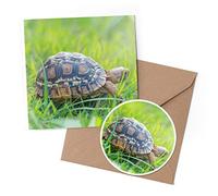 1 x Greeting Card & 10 cm Round Sticker Set - Cute Tiny Tortoise Pet Animals Turtle - Birthday Thank You Friend Lover Fan Mum Dad Kids #8290
