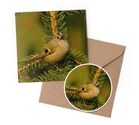 1 x Greeting Card & 10 cm Round Sticker Set - Goldcrest Small Bird Kinglet Birds - Birthday Thank You Friend Lover Fan Mum Dad Kids #51040