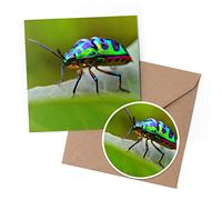 1 x Greeting Card & 10 cm Round Sticker Set - Jewel Bug Beetle Insect - Birthday Thank You Friend Lover Fan Mum Dad Kids #51260