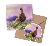 1 x Greeting Card & 10 cm Round Sticker Set - Red Grouse Moor Wild Bird - Birthday Thank You Friend Lover Fan Mum Dad Kids #51868