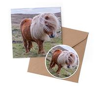 1 x Greeting Card & 10 cm Round Sticker Set - Windswept Shetland Pony Horse - Birthday Thank You Friend Lover Fan Mum Dad Kids #15993