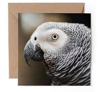 1 x Greeting Card - African Grey Parrot Bird Close Up - Blank Birthday Celebration Anniversary #50049