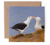 1 x Greeting Card - Albatross Bird Couple - Blank Birthday Celebration Anniversary #50060