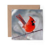 1 x Greeting Card American Red Northern Cardinal Bird - Blank Birthday Celebration Anniversary #16603