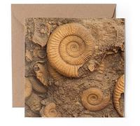 1 x Greeting Card - Ammonite Fossils Archeology History - Blank Birthday Celebration Anniversary #50088