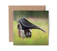 1 x Greeting Card Anteater Wild Animal Nature - Blank Birthday Celebration Anniversary #44107