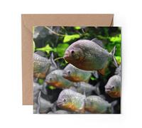 1 x Greeting Card Aquarium Piranha Fish - Blank Birthday Celebration Anniversary #13277