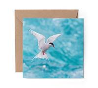 1 x Greeting Card Arctic Tern Bird Jokulsarlon Iceland - Blank Birthday Celebration Anniversary #44144