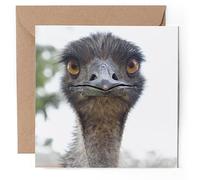1 x Greeting Card - Australian Emu Bird - Blank Birthday Celebration Anniversary #50136