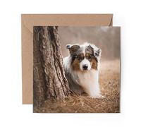 1 x Greeting Card Australian Sheepdog Collie Puppy - Blank Birthday Celebration Anniversary #13167