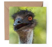 1 x Greeting Card - Australian Wild Emu Bird Face - Blank Birthday Celebration Anniversary #50139