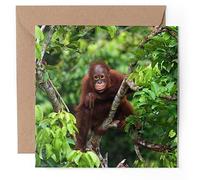1 x Greeting Card - Baby Orangutan Indonesia Monkey - Blank Birthday Celebration Anniversary #50168