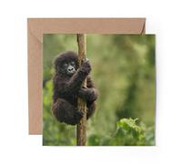 1 x Greeting Card Baby Wild Mountain Gorilla Monkey - Blank Birthday Celebration Anniversary #16980
