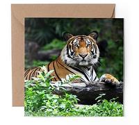 1 x Greeting Card - Bengal Tiger Big Cat Wild Animal - Blank Birthday Celebration Anniversary #50238