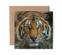 1 x Greeting Card Bengal Tiger Swimming Wild Cat - Blank Birthday Celebration Anniversary #44265