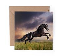 1 x Greeting Card Black Friesian Horse Pony - Blank Birthday Celebration Anniversary #44315