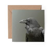1 x Greeting Card Black Raven Crow Black Bird - Blank Birthday Celebration Anniversary #8342