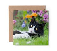 1 x Greeting Card Black & White Cat Kitten Cats Garden - Blank Birthday Celebration Anniversary #14788