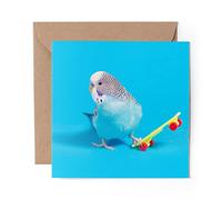 1 x Greeting Card Blue Budgie Skateboarding Skater - Blank Birthday Celebration Anniversary #44355