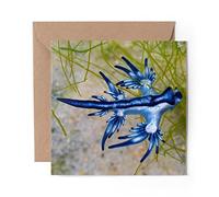 1 x Greeting Card Blue Dragon Glaucus Atlanticus Sea Slug - Blank Birthday Celebration Anniversary #16008