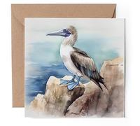 1 x Greeting Card - Blue-footed Booby Bird - Blank Birthday Celebration Anniversary #59612