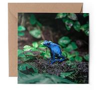 1 x Greeting Card - Blue Poison Dart Frog Frogs Jungle - Blank Birthday Celebration Anniversary #52665
