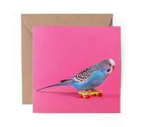 1 x Greeting Card Blue Skateboarding Budgie Bird - Blank Birthday Celebration Anniversary #44391
