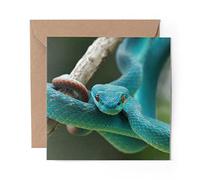 1 x Greeting Card Blue Wild Viper Snake Animal Reptile - Blank Birthday Celebration Anniversary #8295