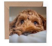1 x Greeting Card - Brown Cockapoo Dog Puppy - Blank Birthday Celebration Anniversary #50398