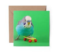 1 x Greeting Card Budgie Skateboard Parrot Bird - Blank Birthday Celebration Anniversary #44482