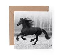 1 x Greeting Card BW - Black Friesian Horse - Blank Birthday Celebration Anniversary #35298