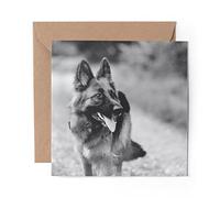 1 x Greeting Card BW - German Shepherd Alsatian Dog - Blank Birthday Celebration Anniversary #35306