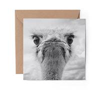 1 x Greeting Card BW - Grumpy Ostrich Bird - Blank Birthday Celebration Anniversary #41633