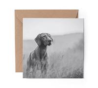 1 x Greeting Card BW - Hungarian Pointer Vizsla Dog - Blank Birthday Celebration Anniversary #35324