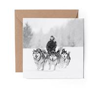 1 x Greeting Card BW - Husky Sled Dogs Dog Austria - Blank Birthday Celebration Anniversary #39173