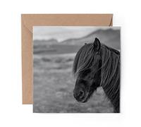 1 x Greeting Card BW - Shetland Pony Horse Girl's - Blank Birthday Celebration Anniversary #38736