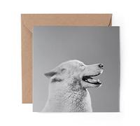 1 x Greeting Card BW - White Fluffy Dog Husky Akita - Blank Birthday Celebration Anniversary #39733