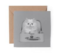 1 x Greeting Card BW - White Persian Longhair Kitten Cat Cute - Blank Birthday Celebration Anniversary #43768