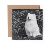 1 x Greeting Card BW - White Samoyed Dog Yellow Flowers - Blank Birthday Celebration Anniversary #35121