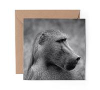 1 x Greeting Card BW - Wild Baboon Monkey - Blank Birthday Celebration Anniversary #37397