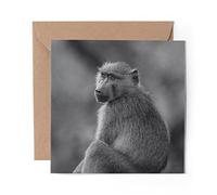 1 x Greeting Card BW - Wild Olive Baboon Monkey Ape - Blank Birthday Celebration Anniversary #42473