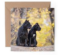 1 x Greeting Card - Cane Corso Dogs Dog Puppy - Blank Birthday Celebration Anniversary #50450