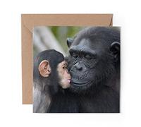 1 x Greeting Card Chimpanzee Mother & Baby Chimp - Blank Birthday Celebration Anniversary #16106