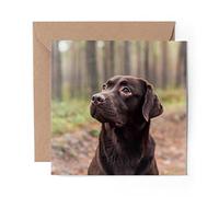 1 x Greeting Card Chocolate Brown Labrador Dog - Blank Birthday Celebration Anniversary #44590
