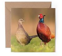 1 x Greeting Card - Common Pheasant Bird Couple - Blank Birthday Celebration Anniversary #52730