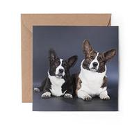1 x Greeting Card Corgi Dog Pair Cardigan Dogs Puppy - Blank Birthday Celebration Anniversary #44725